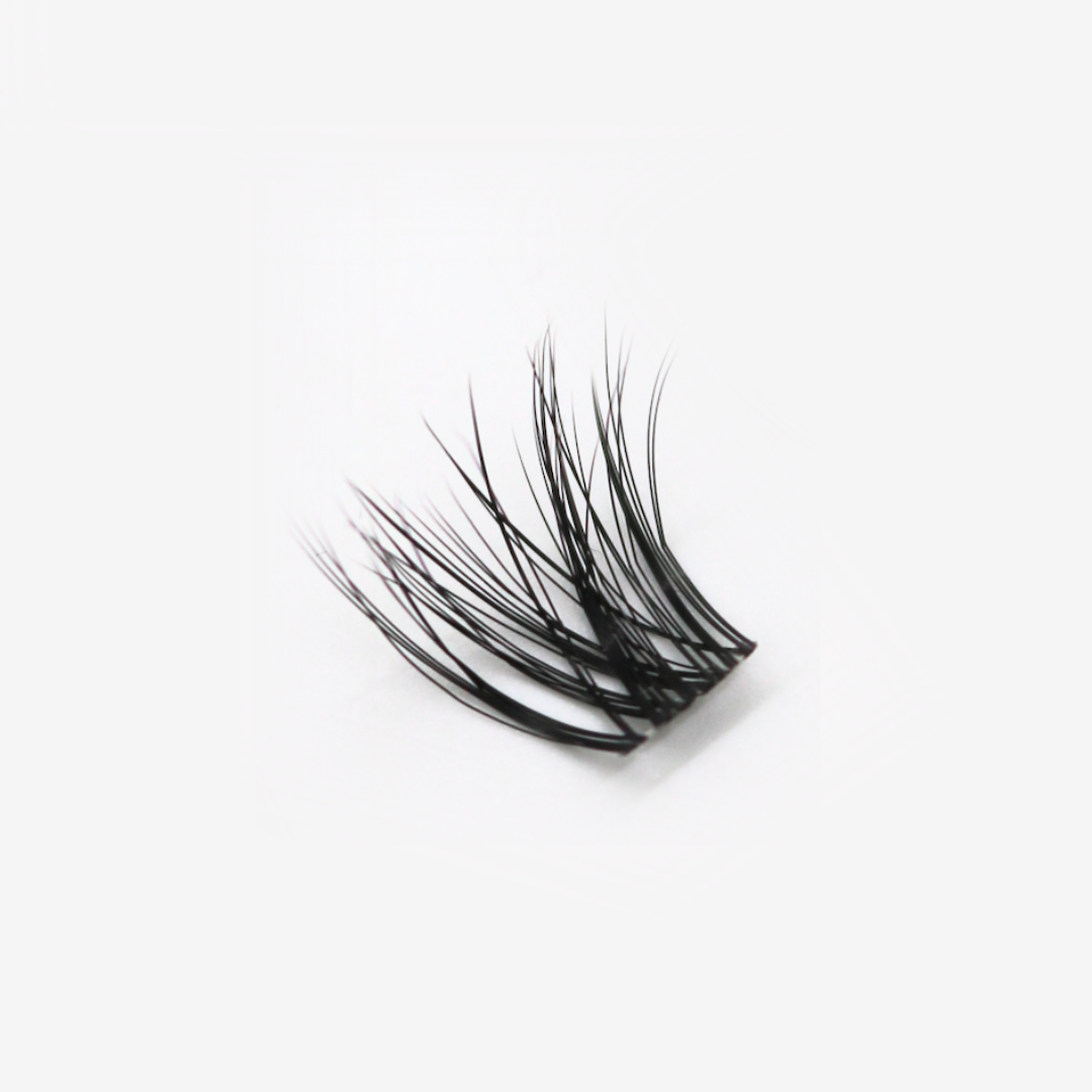 Lash extension clusters (14d)