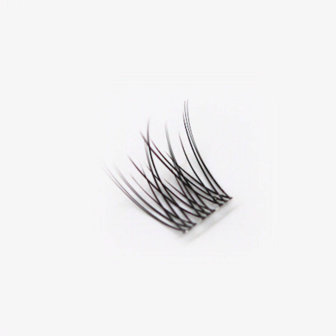 Lash extension kit (14d)