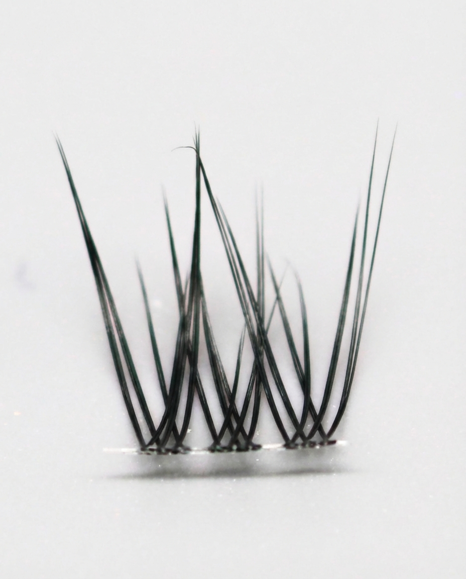 Fransförlängningskluster (14d)